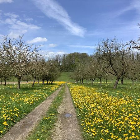 Appartamento Sitter-Panorama Bischofszell Esterno foto